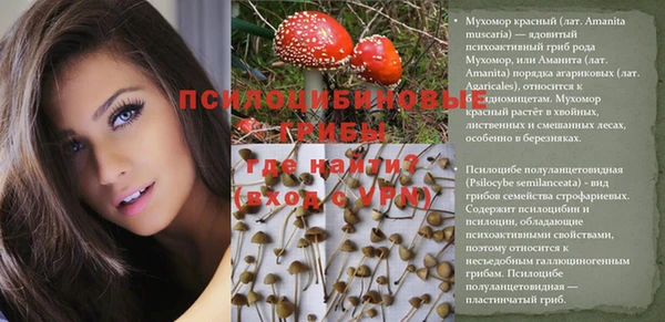 спиды Алексеевка