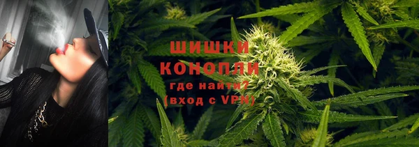 мяу мяу мука Алзамай