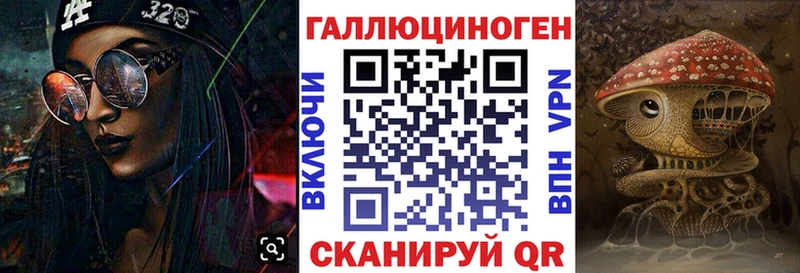 Купить  Заволжье  Псилоцибиновые грибы Psilocybe 