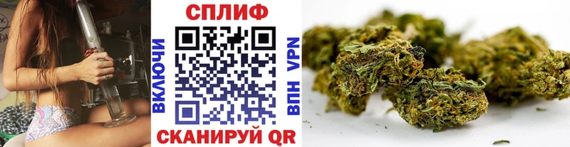 Купить Заволжье Шишки марихуана Ganja